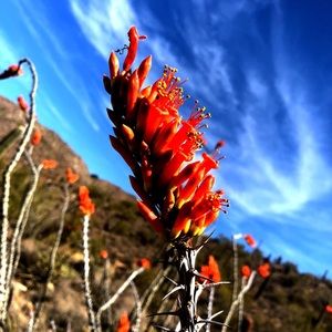 Meet your Posher, Cait